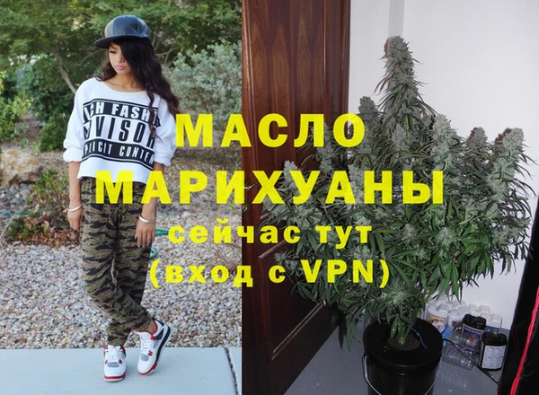 дмт Дмитриев