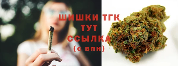 дмт Дмитриев