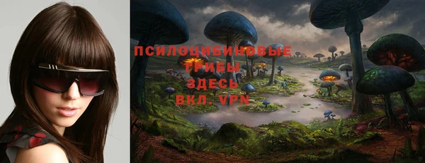 дмт Дмитриев
