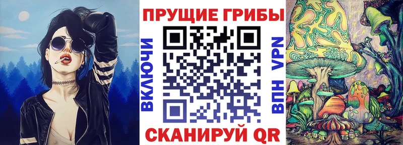 Галлюциногенные грибы мухоморы Купить где Заводоуковск